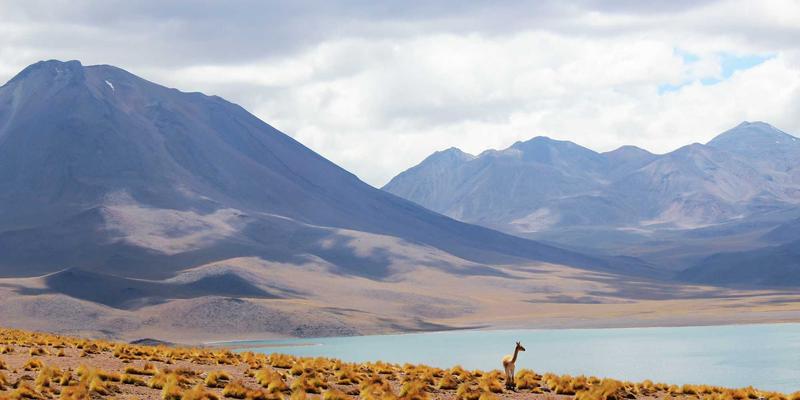 6G技术前瞻：太赫兹通信与AI原生空口设计如何重塑未来创新产品