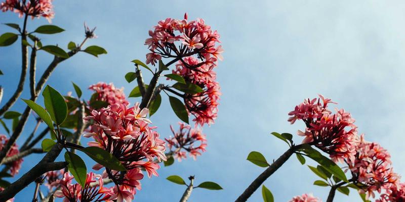 Web3.0基础设施革命：去中心化存储与计算如何重塑数据主权与隐私