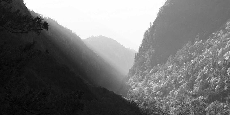 前沿科技资讯67：创新产品与人工智能的深度评测