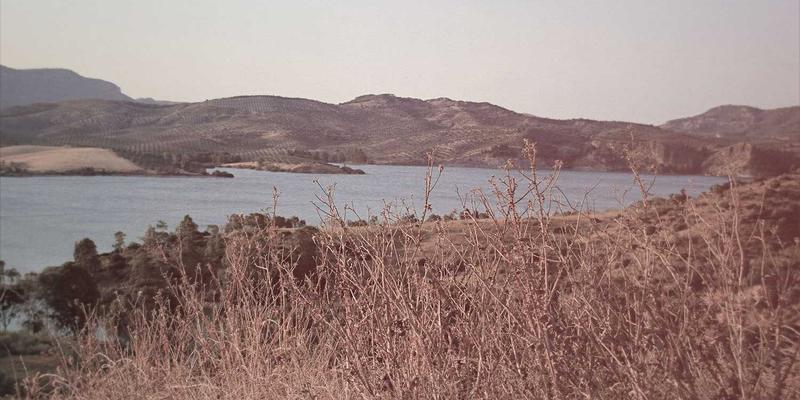 数字孪生技术：融合区块链与人工智能，构建智慧工厂的优化虚拟镜像