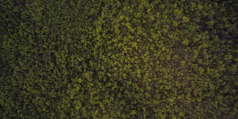 科技资讯100：创新产品引领物联网新时代，智能生活触手可及