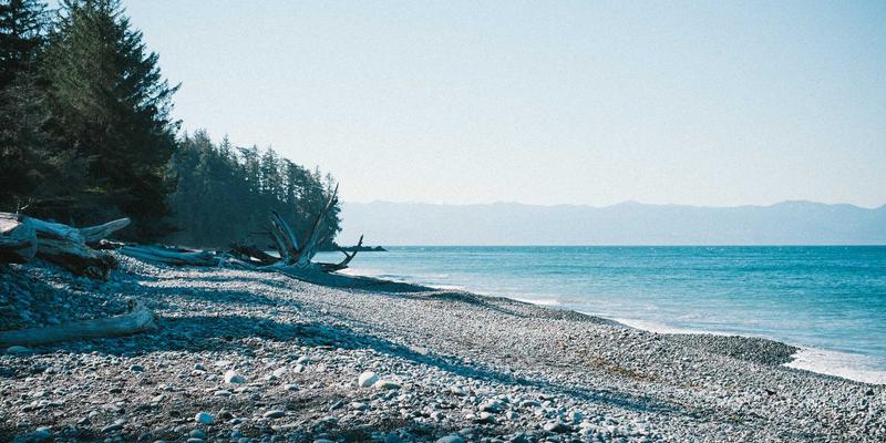 科技资讯应用深度评测：如何用创新产品洞察物联网浪潮