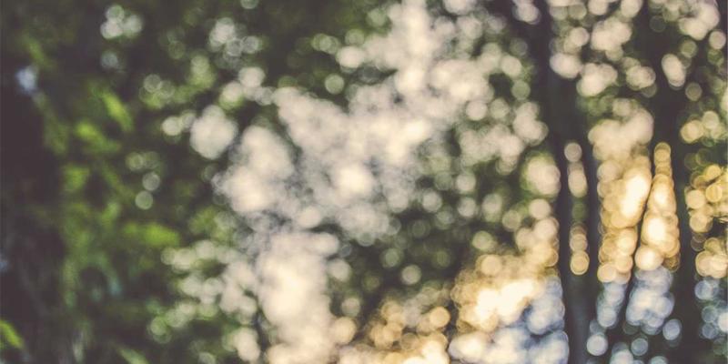 科技资讯攻略:如何通过技术分析洞察区块链发展趋势