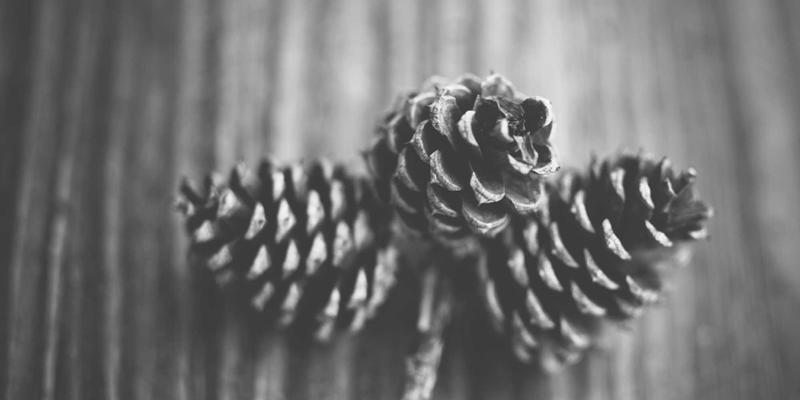 科技资讯是什么？解码技术分析、人工智能与物联网的时代脉搏