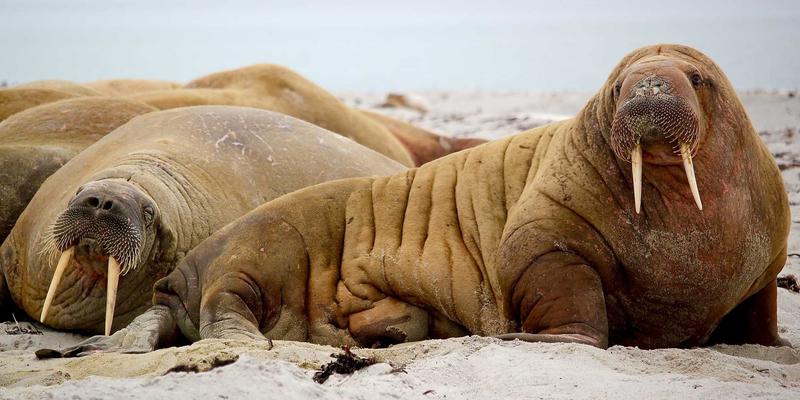 脑机接口创新产品深度评测：医疗康复与人类增强的科技革命