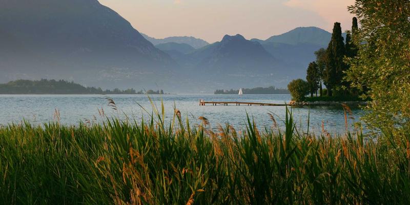 脑机接口技术分析：创新产品如何重塑医疗康复与增强认知的商业化前景